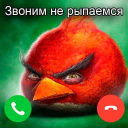 Звоним не рыпаемся