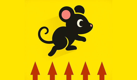 The Mouse's Path