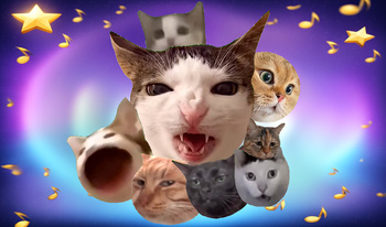 Birleşme - Meme Cats