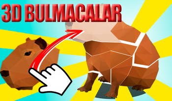 3D Bulmacalar