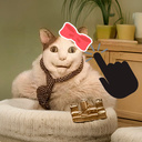 Кот Бу! Найди 10 отличий