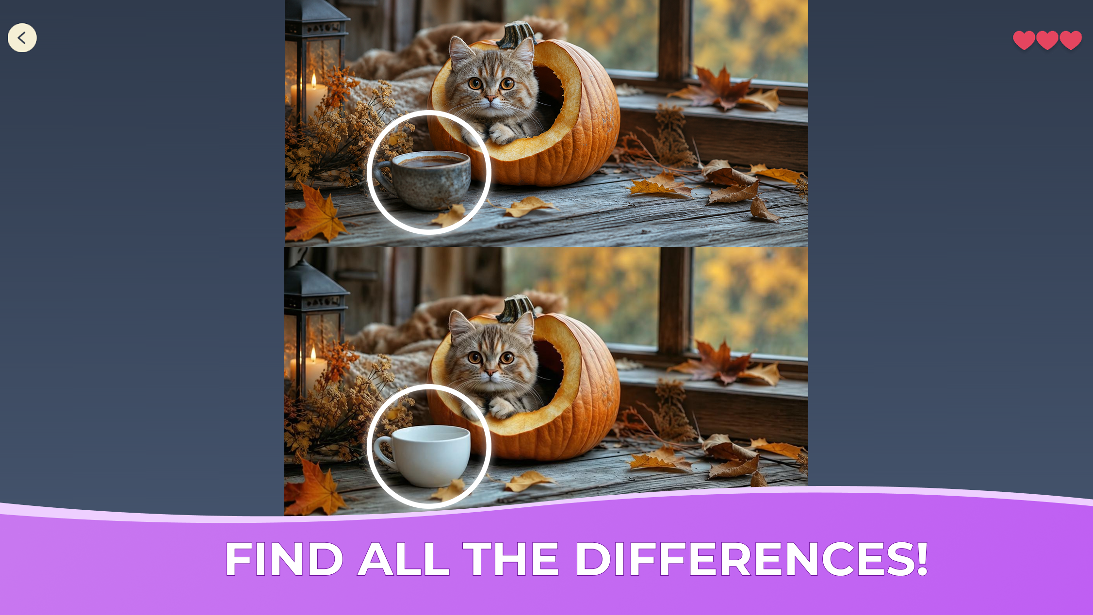 Cozy Cats: Find 10 Differences — screenshot 1