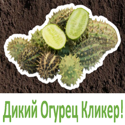 Дикий Огурец Кликер!