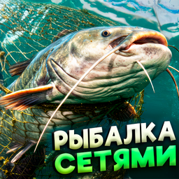 Рыбалка сетями