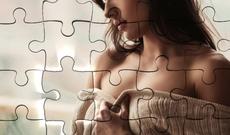 Puzzles for adults 2024 game cover