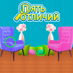 Пять отличий-poster
