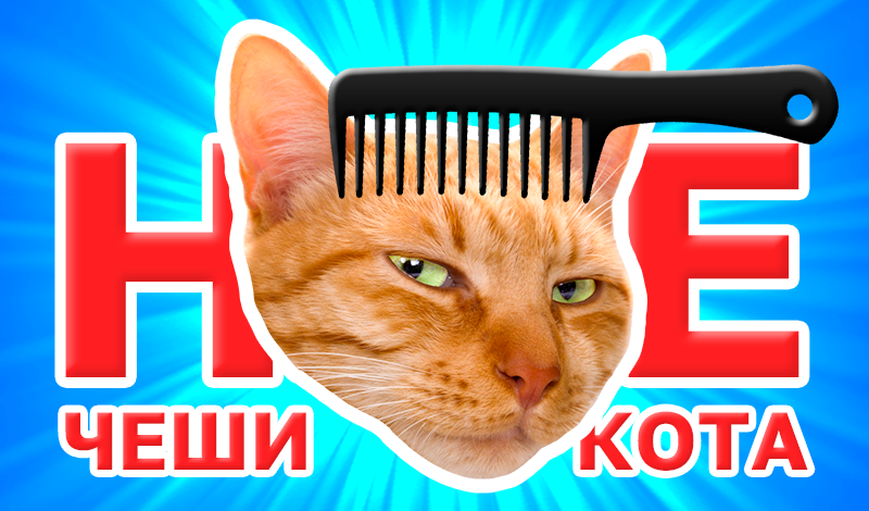 Не чеши кота! game cover