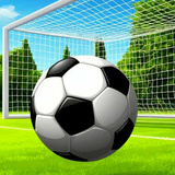 Shoot for the Goal!