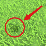 Obby: Be Grass