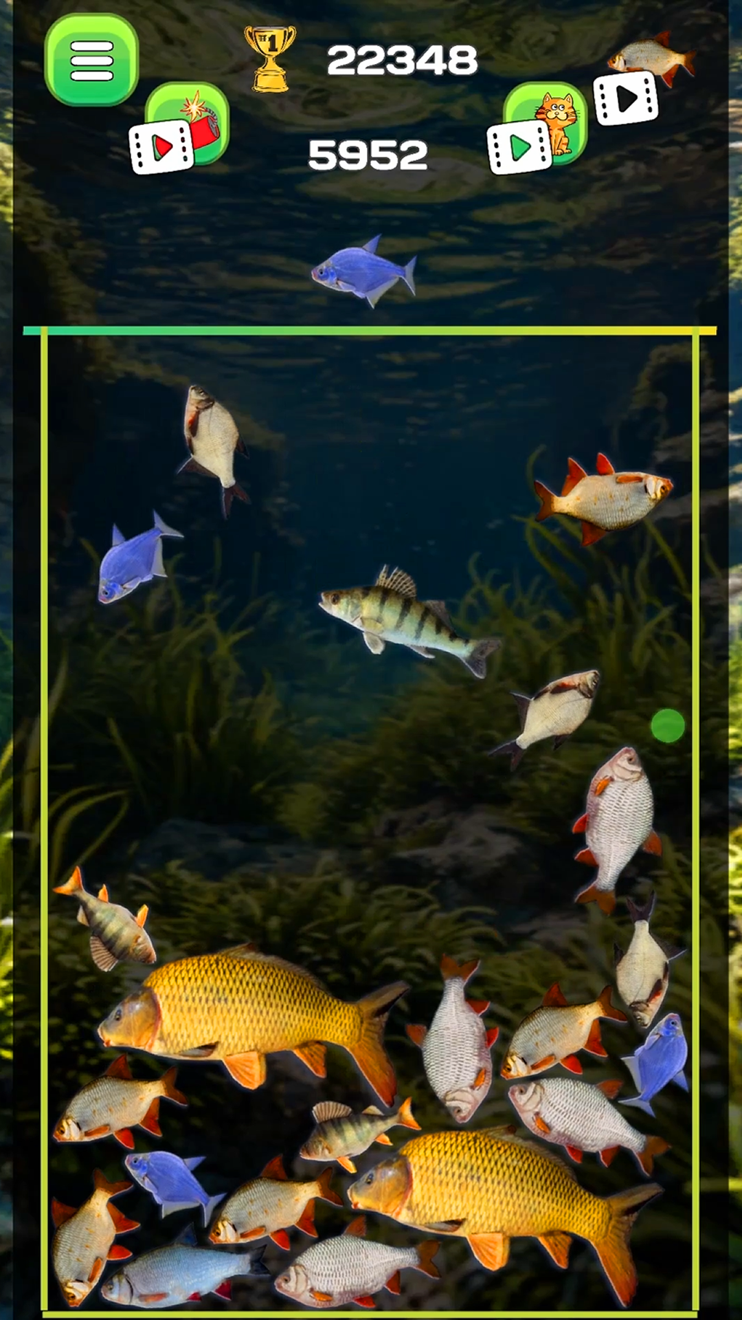 Connect the fish - Reach the Pike screenshot 7