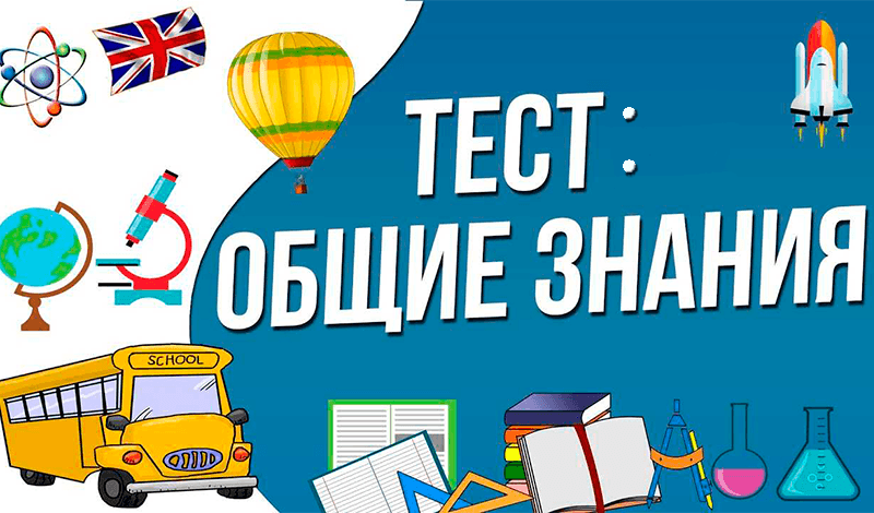 Тест: Общие знания game cover