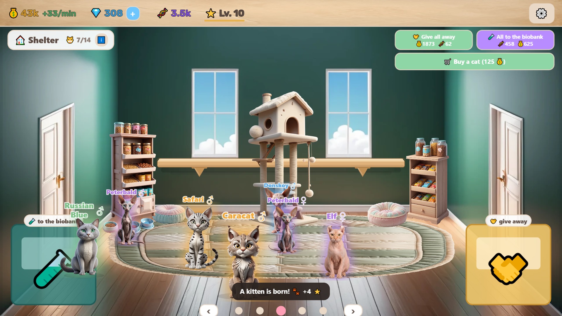 Catlab — screenshot 3