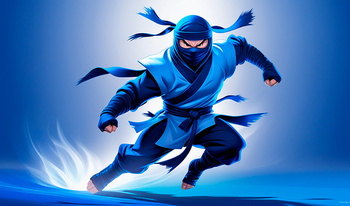 The Fast Ninja