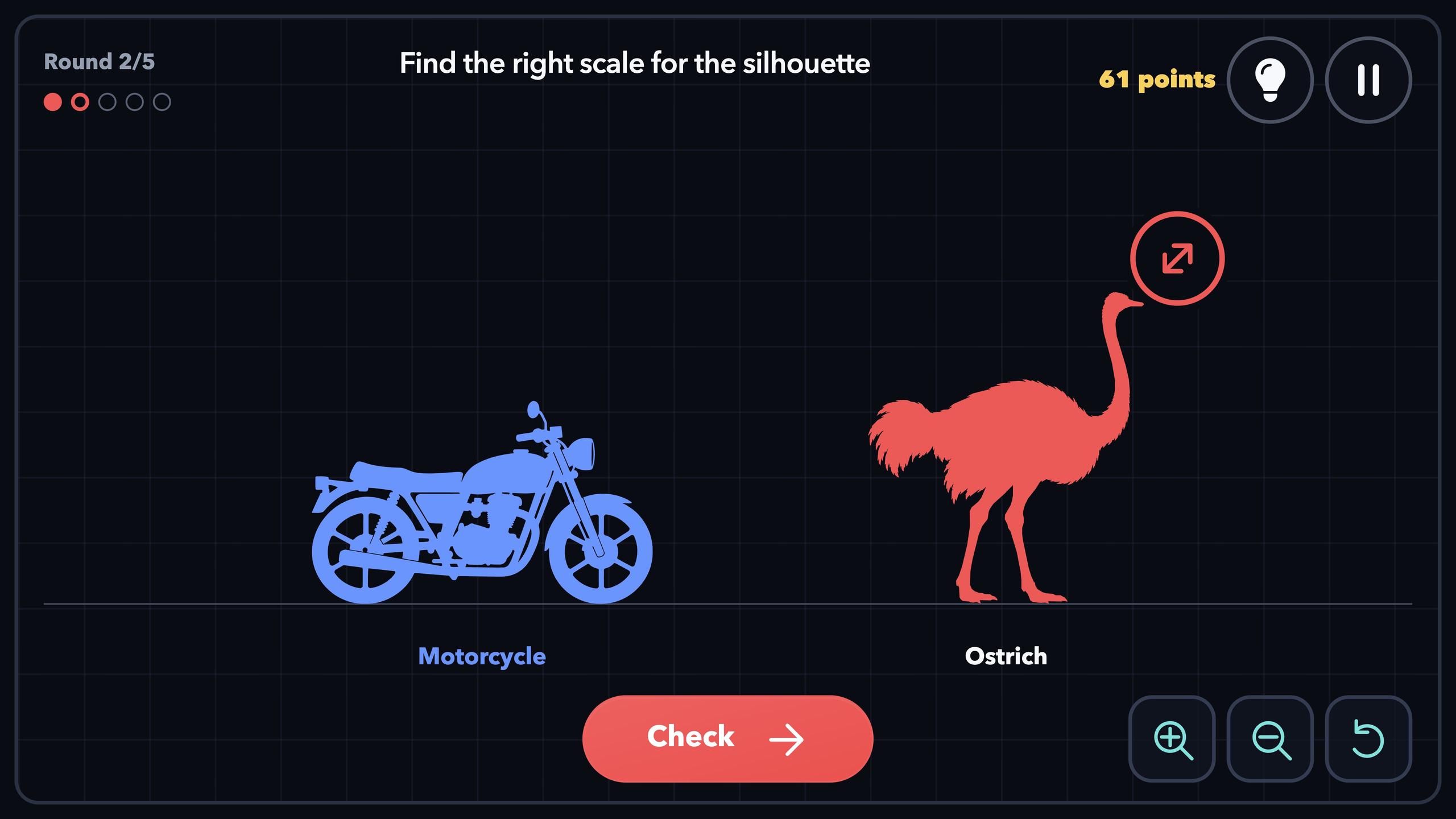 Guess the Size! screenshot 5