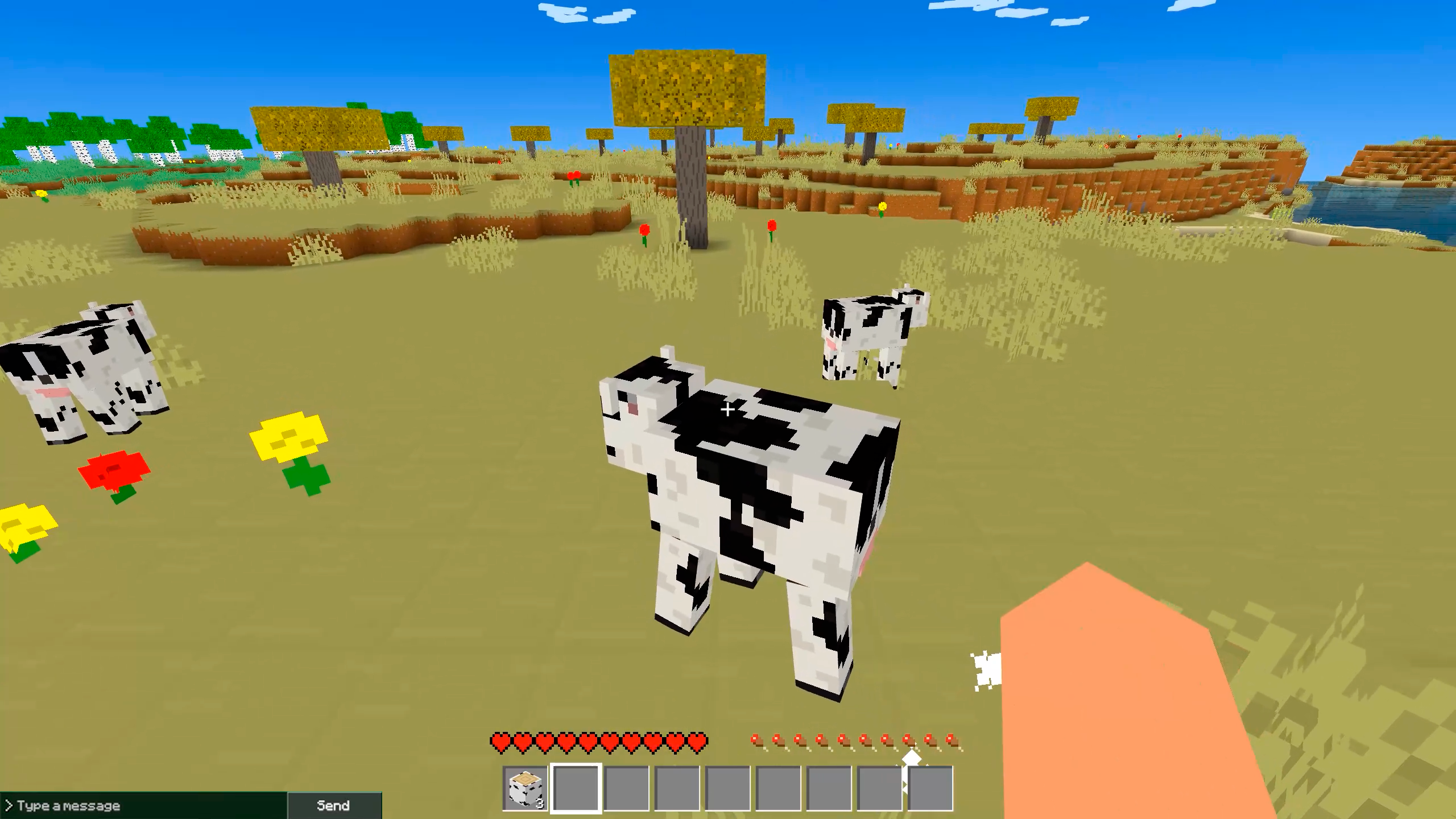 MasterCraft - Survival and online screenshot 3