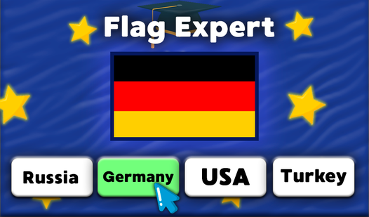 Flag Expert