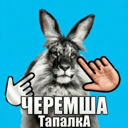 Черемша Тапалка!