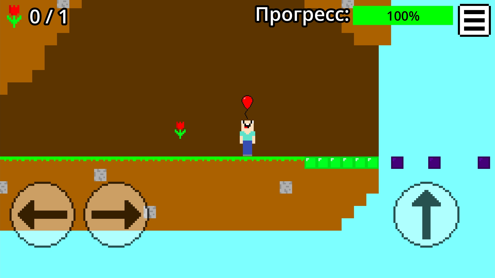 Нубик Паркур 2д - Принеси Цветок — screenshot 13