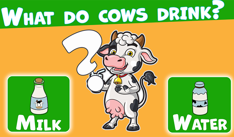 Trivia Quiz game cover
