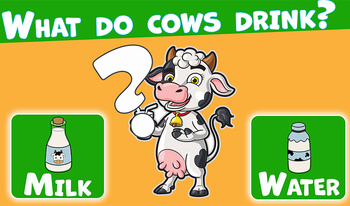 Quiz Games