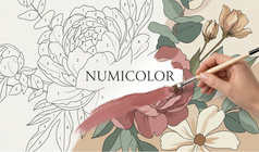 Numicolor