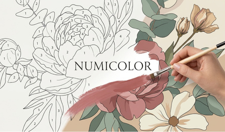 Numicolor