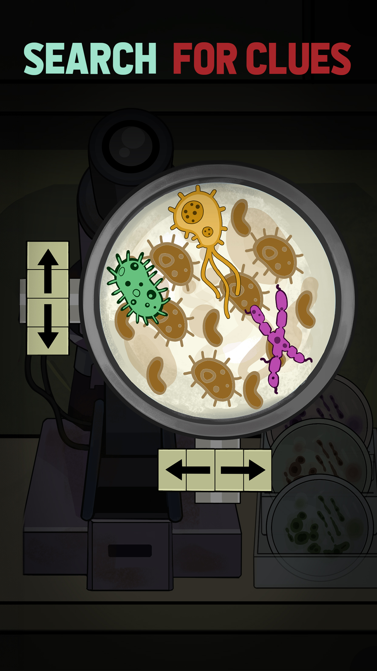 Find Joe: Secret of The Stones screenshot 16