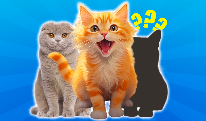 Merge Cat Breeds! game cover