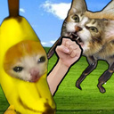 Banana Cat vs Bee Cat!