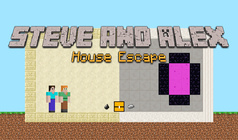Steve and Alex House Escape