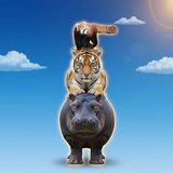 Animal Stacking Tower: Zoo Balance