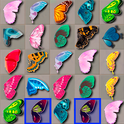 Butterfly Kyodai