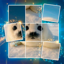 Jigsaw - Card Puzzle
