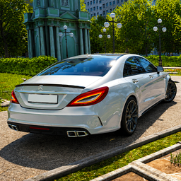 Mercedes CLS 63: Banana-Cannon
