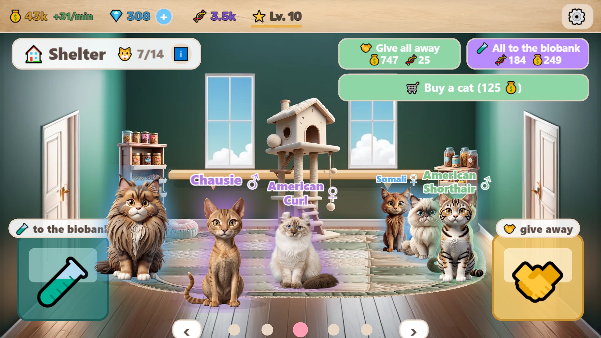 Catlab — screenshot 13