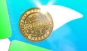 A bouncing coin