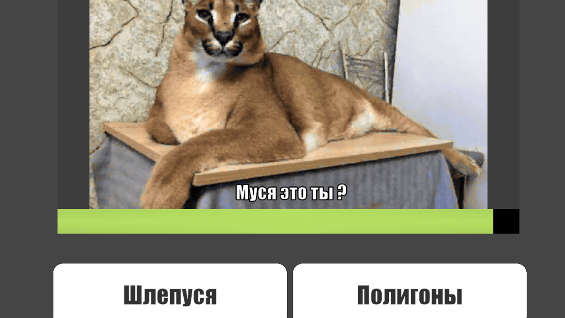 Муся это ты? — screenshot 4