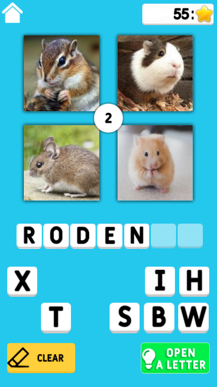 4 Photos and a Word screenshot 7