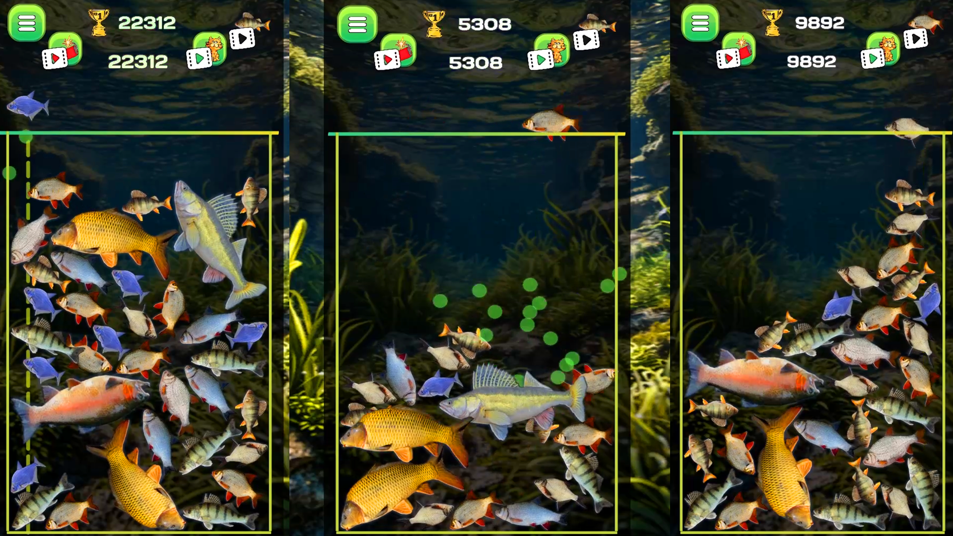Connect the fish - Reach the Pike screenshot