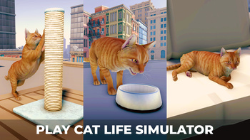 Cat Simulator in the City