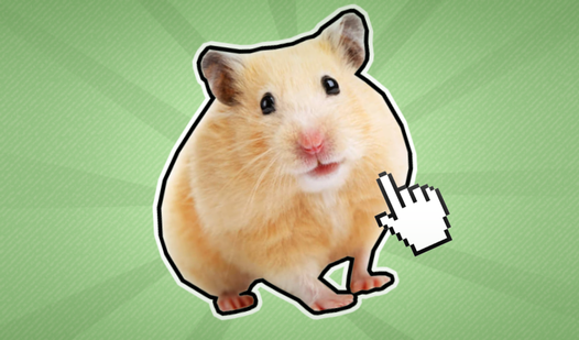 Hamster Cube