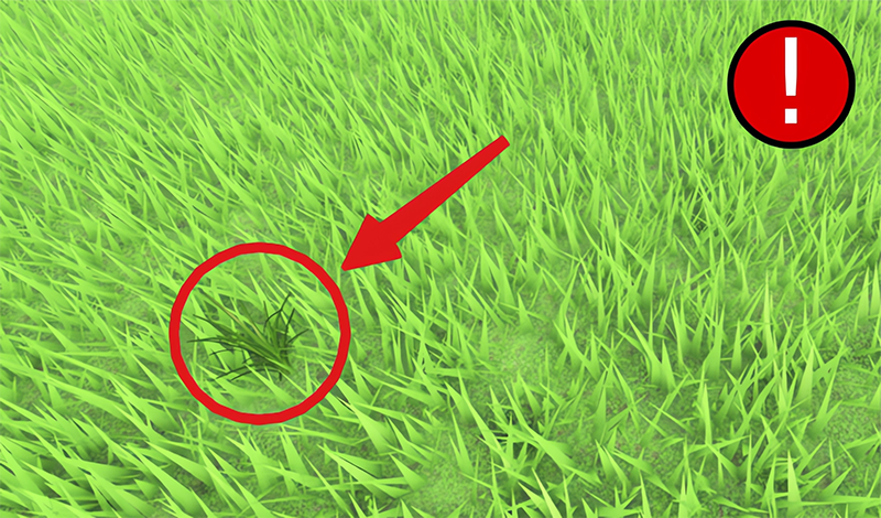 Obby: Be Grass game cover