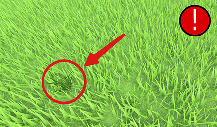 Obby: Be Grass