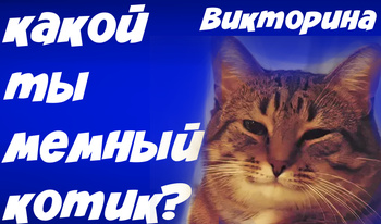 Какой ты мемный котик? Викторина