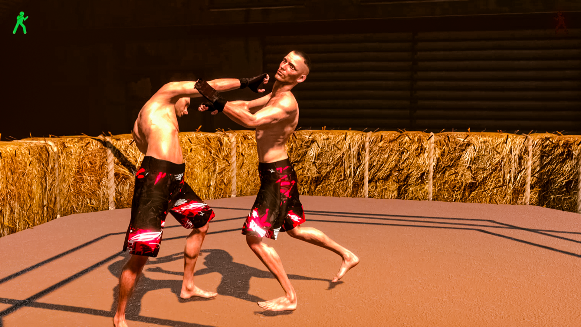 Красно-Синий: Кулачные Бои — screenshot 3