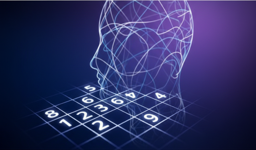 Судоку: тренировка мозга