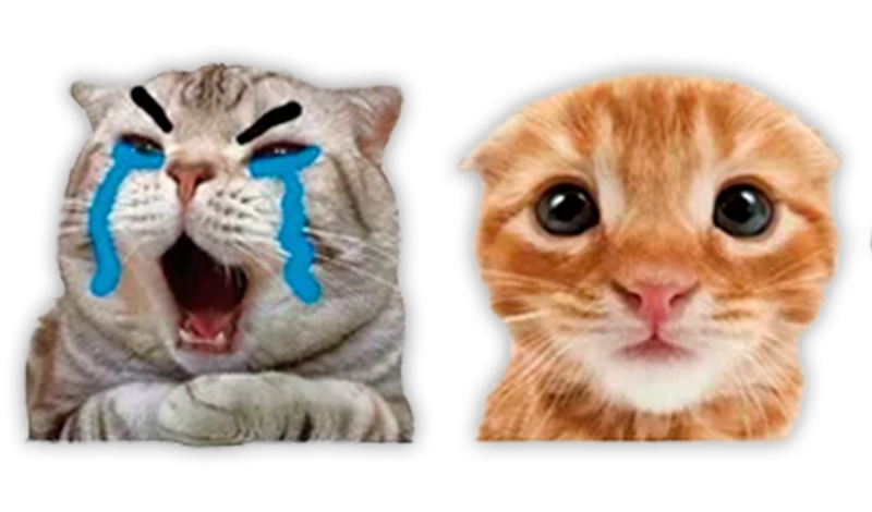 Who Is More Attentive: We Play Together game cover