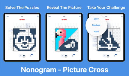 Nonogram - Picture Cross