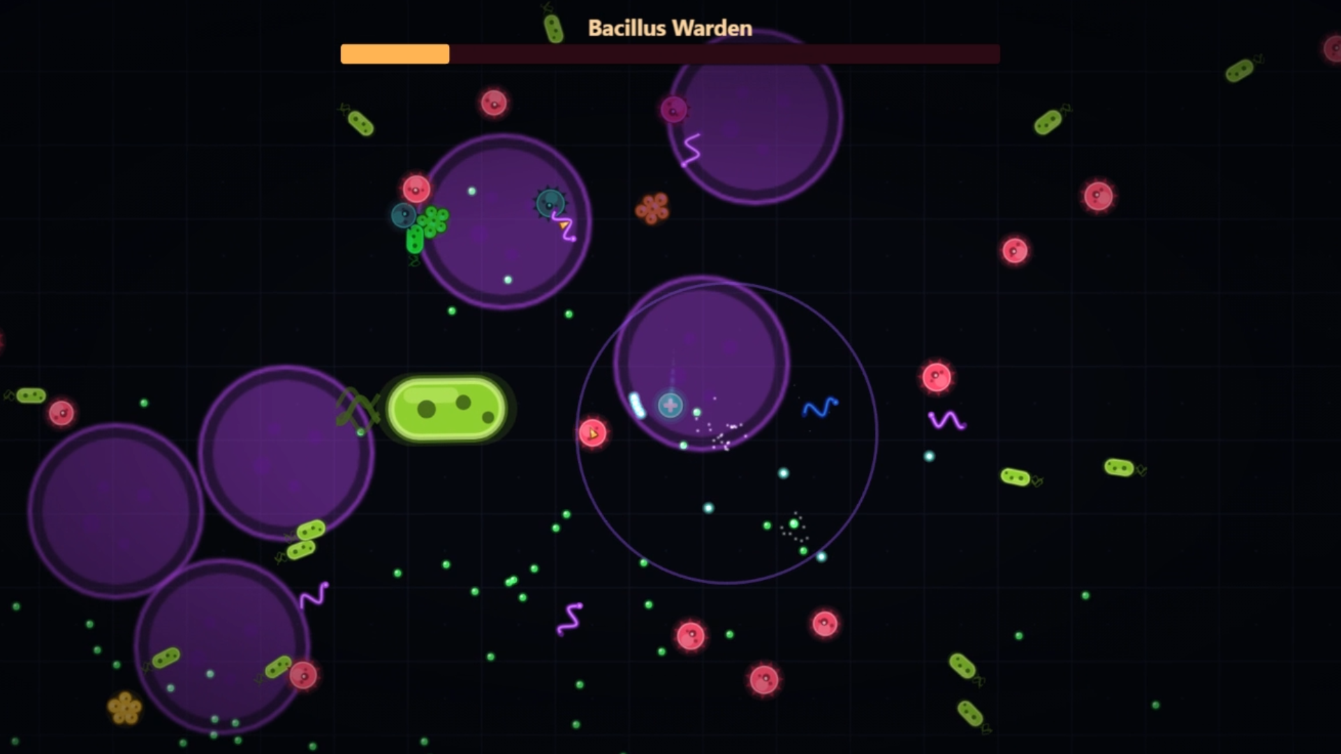 Bacterial Swarm — screenshot 2