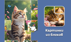Картинки из блоков